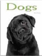 Dogs