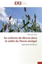 Abdoul Aziz Ndiath, Ndiath-a - Les cultures de decrue dans la