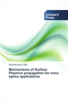 Pierfrancesco Zilio - Mechanisms of Surface Plasmon propagation for nano optics applications