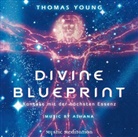 Thomas Young - Divine Blueprint, 1 Audio-CD (Audiolibro)