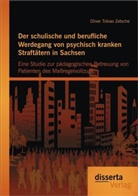Oliver Tobias Zetsche - Der schulische und berufliche Werdegang von psychisch kranken Straftätern in Sachsen: Eine Studie zur pädagogischen Betreuung von Patienten des Maßregelvollzugs