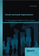 Torsten Bergt - Schnell wachsende Organisationen: Zur Mannigfaltigkeit einer begrifflichen Einheit