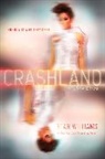 Sean Williams - Crashland