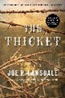 Joe R. Lansdale - The Thicket
