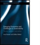 Arve (University of Oslo Hansen, Arve Wethal Hansen, Arve Hansen, Hansen Arve, Ulrikke Wethal, Wethal Ulrikke - Emerging Economies and Challenges to Sustainability