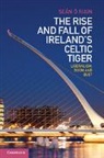 &amp;apos, Seán Ó Riain, O&amp;apos, Sean O. Riain, Seaan O'Riain, Sean O'Riain... - Rise and Fall of Ireland''s Celtic Tiger