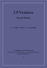 I. I. Bigi, I. I. (University of Notre Dame Bigi, I. I. Sanda Bigi, I.I. Bigi, I.i. Sanda Bigi, A. I. Sanda... - Cp Violation