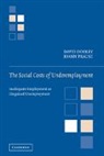David Dooley, David (University of California Dooley, David Prause Dooley, Dooley David, Joann Prause, JoAnn (University of California Prause... - Social Costs of Underemployment