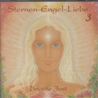 Sternen-Engel-Liebe. Tl.3, 1 Audio-CD (Livre audio)