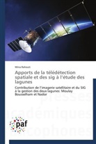 Mina Rahouti, Rahouti-m - Apports de la teledetection