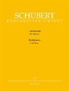 Franz Schubert, Walther Dürr, David Goldberger - Fantasien für Klavier