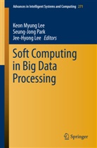 Jee-Hyong Lee, Keon Myung Lee, Seung-Jon Park, Seung-Jong Park - Soft Computing in Big Data Processing
