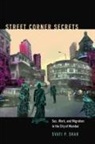 Svati P Shah, Svati P. Shah, Svati P./ Wiegman Shah, Svati Pragna Shah, Robyn Wiegman - Street Corner Secrets