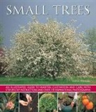 Andrew Mikolajski, Mikolajski Andrew, Peter Anderson - Small Trees