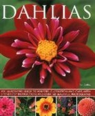Ted Collins, Collins Ted, Jonathan Buckley - Dahlias