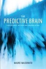 Mauro Maldonato - Predictive Brain