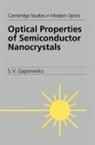 S. V. Gaponenko, Sergey V. Gaponenko, P. L. Knight, A. Miller - Optical Properties of Semiconductor Nanocrystals