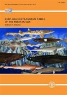 David A. Ebert, Food and Agriculture Organization of the, Food and Agriculture Organization of the United Na, Food and Agriculture Organization (Fao) - Deep Sea Cartilaginous Fishes of the Indian Ocean