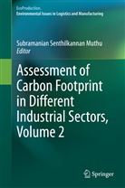 Subramanian S. Muthu, Subramanian Senthilkannan Muthu, Subramania Senthilkannan Muthu, Subramanian Senthilkannan Muthu - Assessment of Carbon Footprint in Different Industrial Sectors. Vol.2