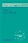 Terence M. Gagen, Terrence Gagen, N. J. Hitchin - Topics in Finite Groups