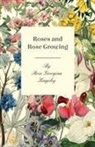 Rose Georg Kingsley, Rose Georgina Kingsley - Roses and Rose Growing
