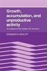 Wolff Edward N., Edward N. Wolff, Edward N. (New York University) Wolff, Wolff Edward N. - Growth, Accumulation, and Unproductive Activity