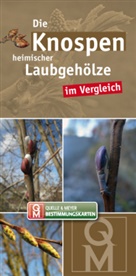 Quell &amp; Meyer Verlag, Quelle &amp; Meyer Verlag, Quelle &amp; Meyer Verlag - Die Knospen heimischer Laubgehölze im Vergleich, Bestimmungskarten