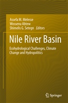 Wossen Abtew, Wossenu Abtew, Shimelis G Setegn, Assefa Melesse, Assefa M. Melesse, Shimelis G. Setegn... - Nile River Basin