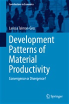 Larissa Talmon-Gros - Development Patterns of Material Productivity