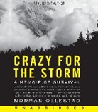 Norman Ollestad, Norman Ollestad - Crazy For The Storm (Hörbuch)