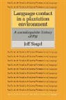 Jeff Siegel - Language Contact in a Plantation Environment