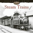 Steam Trains Wall Calendar 2015 (Art Calendar)