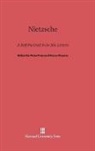 Peter Fuss, Henry Shapiro - Nietzsche