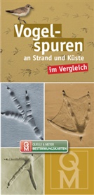 Quelle &amp; Meyer Verlag - Vogelspuren an Strand und Küste im Vergleich