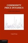 Craig Pirrong, Craig (University of Houston) Pirrong, Pirrong Craig - Commodity Price Dynamics