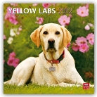 Browntrout Publishers (COR) - Yellow Labrador Retrievers 2012 Calendar