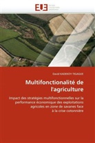 David KADEKOY-TIGAGUE, Kadekoy-Tigague-D - Multifonctionalite de l agriculture