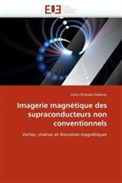 Voicu Octavian Dolocan, Octavian Dolocan-V - Imagerie magnetique des