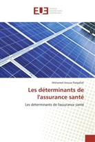 Anouar Razgallah-M, Mohamed Anouar Razgallah - Les determinants de l assurance