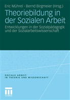 Birgmeie, Birgmeier, Birgmeier, Bernd Birgmeier, Mühre, Eri Mührel... - Theoriebildung in der Sozialen Arbeit