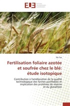Illa Tea, Tea-I - Fertilisation foliaire azotee et