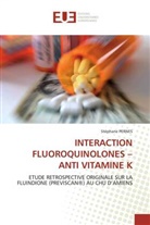 Stéphane Pernes, Pernes-S - Interaction fluoroquinolones anti