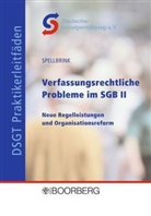 Wolfgang Spellbrink - Verfassungsrechtliche Probleme im SGB II