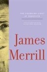 J. D. McClatchy, James Merrill, James/ McClatchy Merrill, Merrill James, Stephen Yenser, J. D. McClatchy... - The Changing Light at Sandover