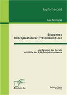 Anja Karolewiez - Biogenese chloroplastidärer Proteinkomplexe am Beispiel der Gerste mit Hilfe der 2-D-Gelelektrophorese