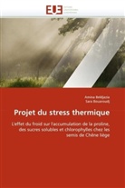 Amin Beldjazia, Amina Beldjazia, Sara Bouaroudj, Collectif - Projet du stress thermique