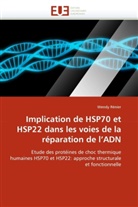 Wendy Rénier, Renier-W - Implication de hsp70 et hsp22
