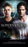 John Passarella, Passarella John - Supernatural: Night Terror