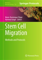 Marie-Dominiqu Filippi, Marie-Dominique Filippi, Geiger, Geiger, Hartmut Geiger - Stem Cell Migration