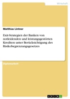 Matthias Lintner - Exit-Strategien der Banken von notleidenden und leistungsgestörten Krediten unter Berücksichtigung des Risikobegrenzungsgesetzes